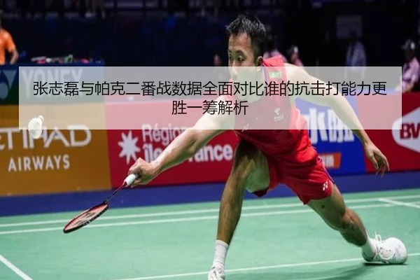 张志磊与帕克二番战数据全面对比谁的抗击打能力更胜一筹解析